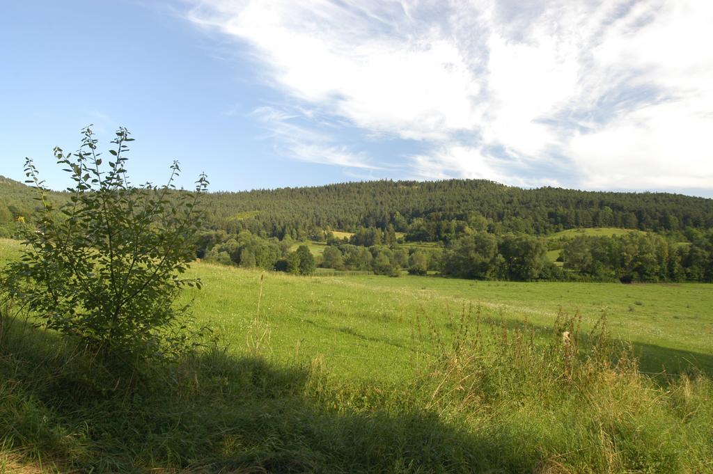 Ferienanlage Reinsberger Dorf Plaue  Bagian luar foto